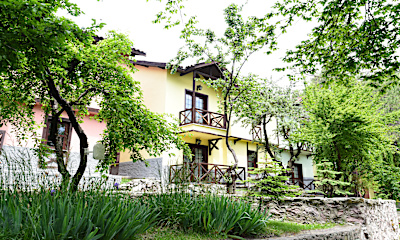 Tip 1 Suite Villa